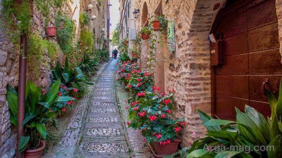 تصویر از [نام تور] | Ashianeh Parvaz